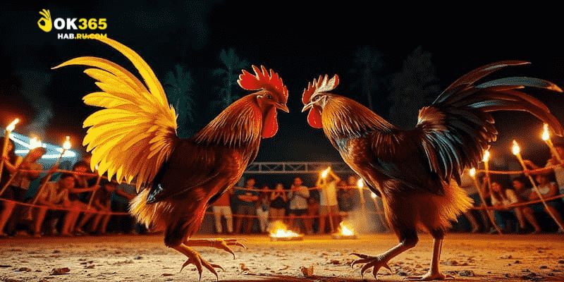 Các bước đơn giản giúp người mới tham gia dễ dàng