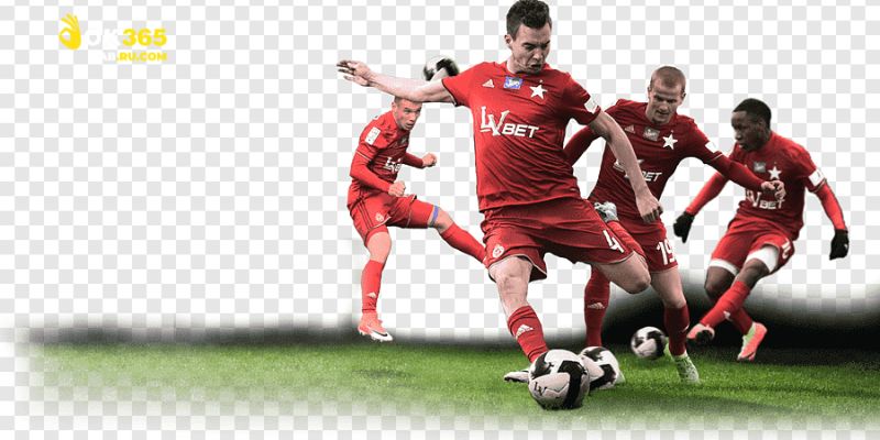 Hướng dẫn cụ thể giúp người mới tiếp cận hiệu quả hơn