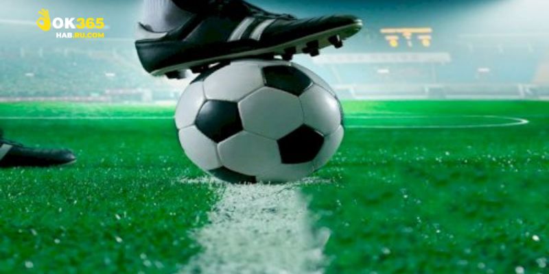 Thông tin cụ thể giúp người mới tiếp cận dễ dàng